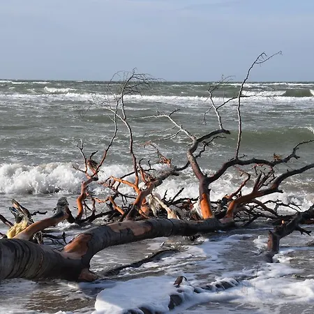 펜션 Haus An Der Tanne *