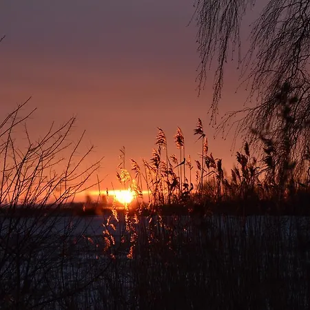 Haus An Der Tanne 비에크