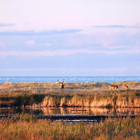 Haus An Der Tanne 펜션 비에크