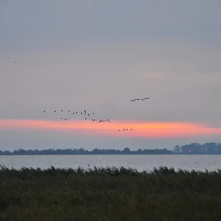 펜션 Haus An Der Tanne