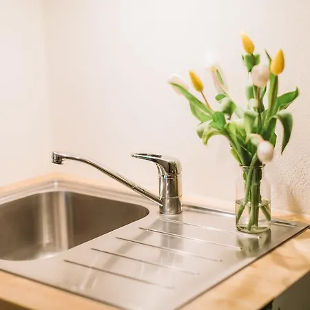 Haus An Der Tanne 펜션 *