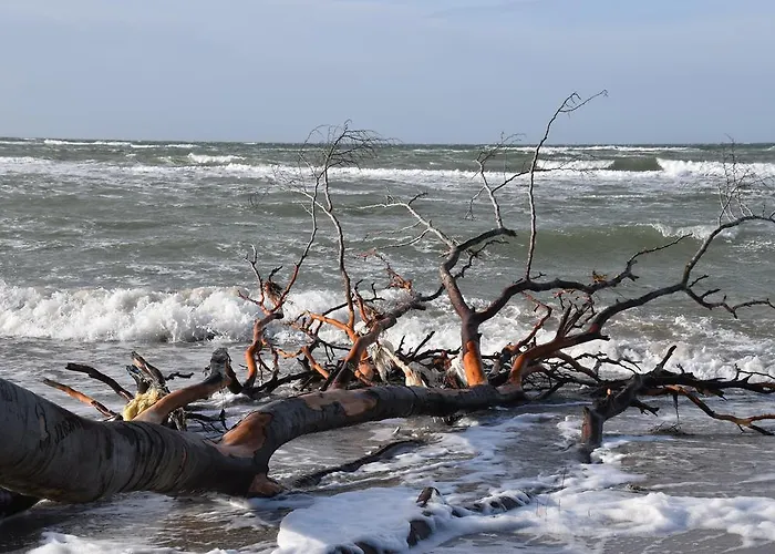 Prázdninový dům Haus An Der Tanne *