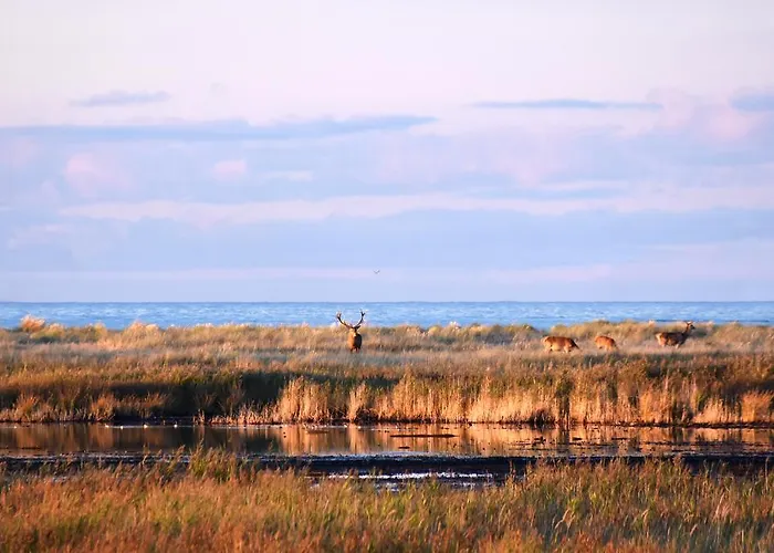 Haus An Der Tanne Prázdninový dům Wieck