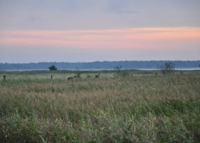 Prázdninový dům Haus An Der Tanne *